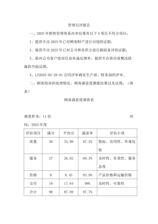 体系管理自评报告