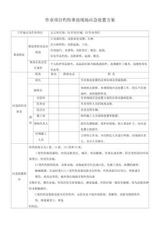 作业项目灼伤事故现场应急处置方案