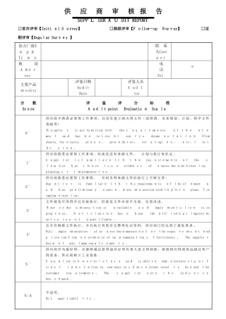 供应商审核报告