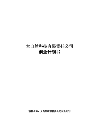便携式空气净化器创业计划书