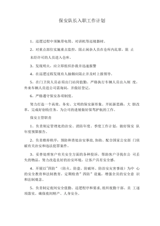 保安队长入职工作计划