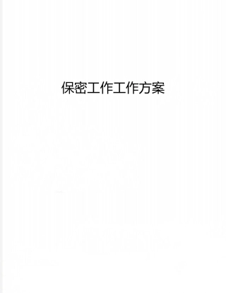 保密工作工作方案