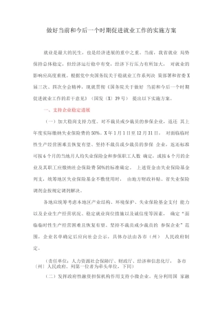 做好当前和今后一个时期促进就业工作的实施方案