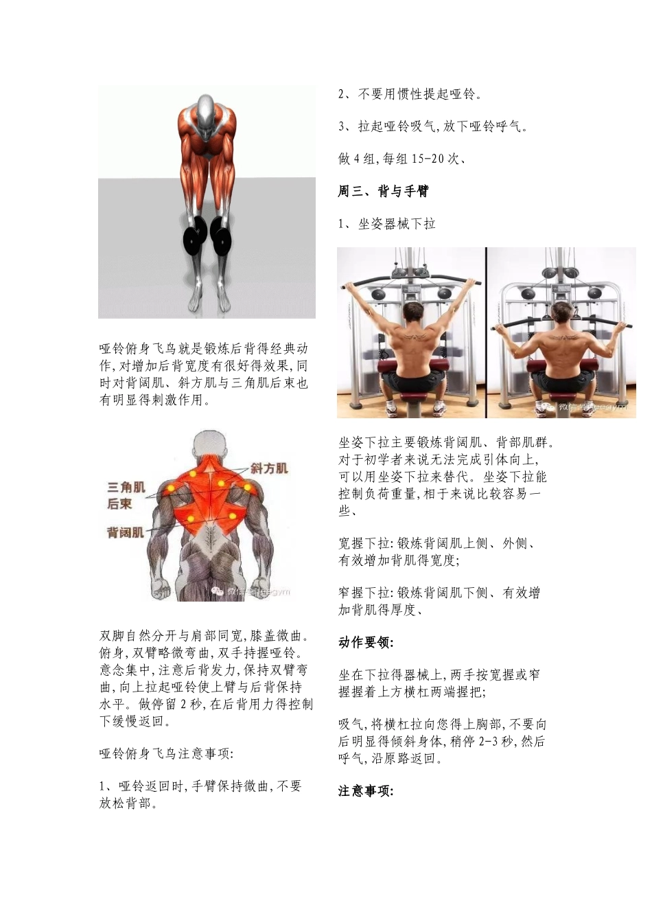 健身新手必备的饮食计划-健身计划_第2页