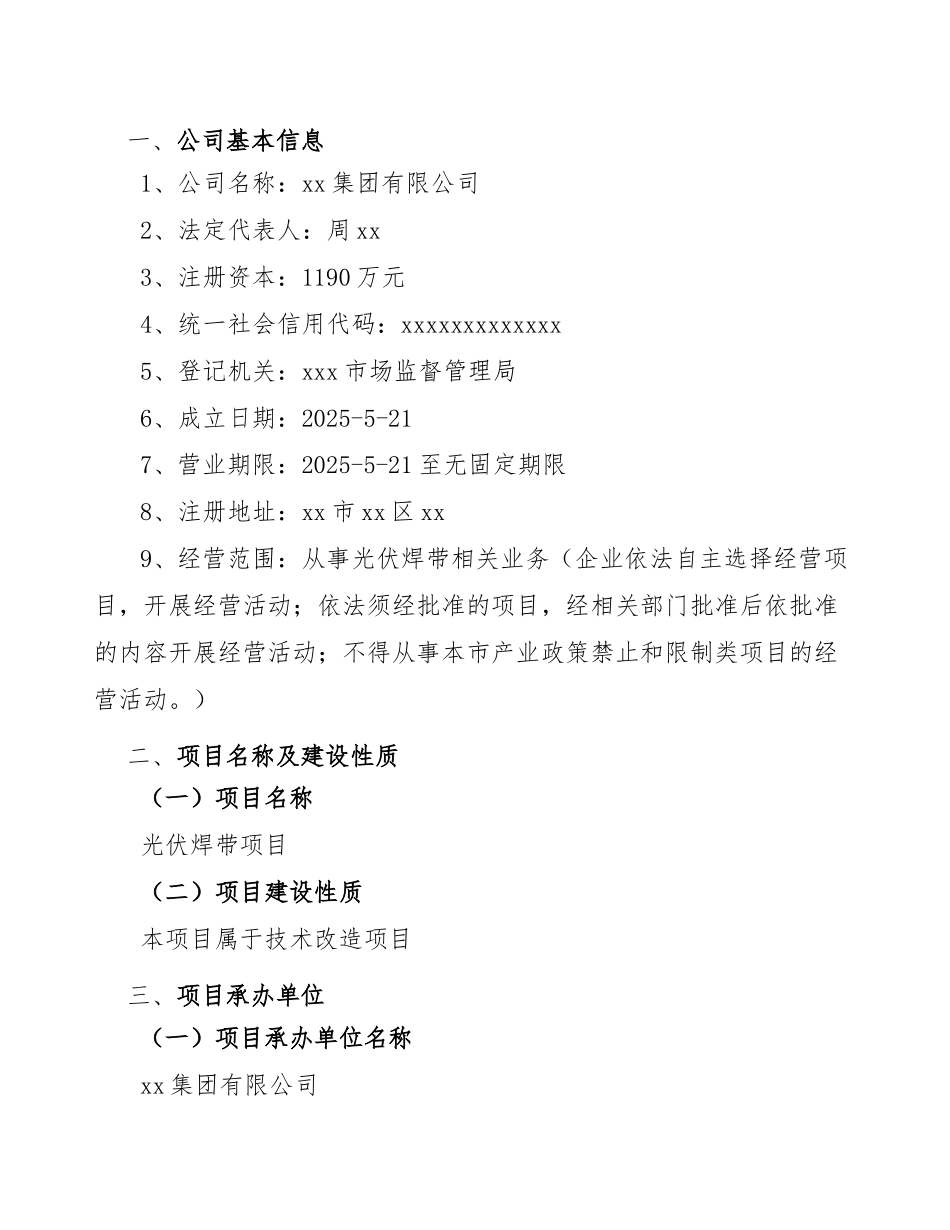 光伏焊带项目投资计划与建设方案_第3页