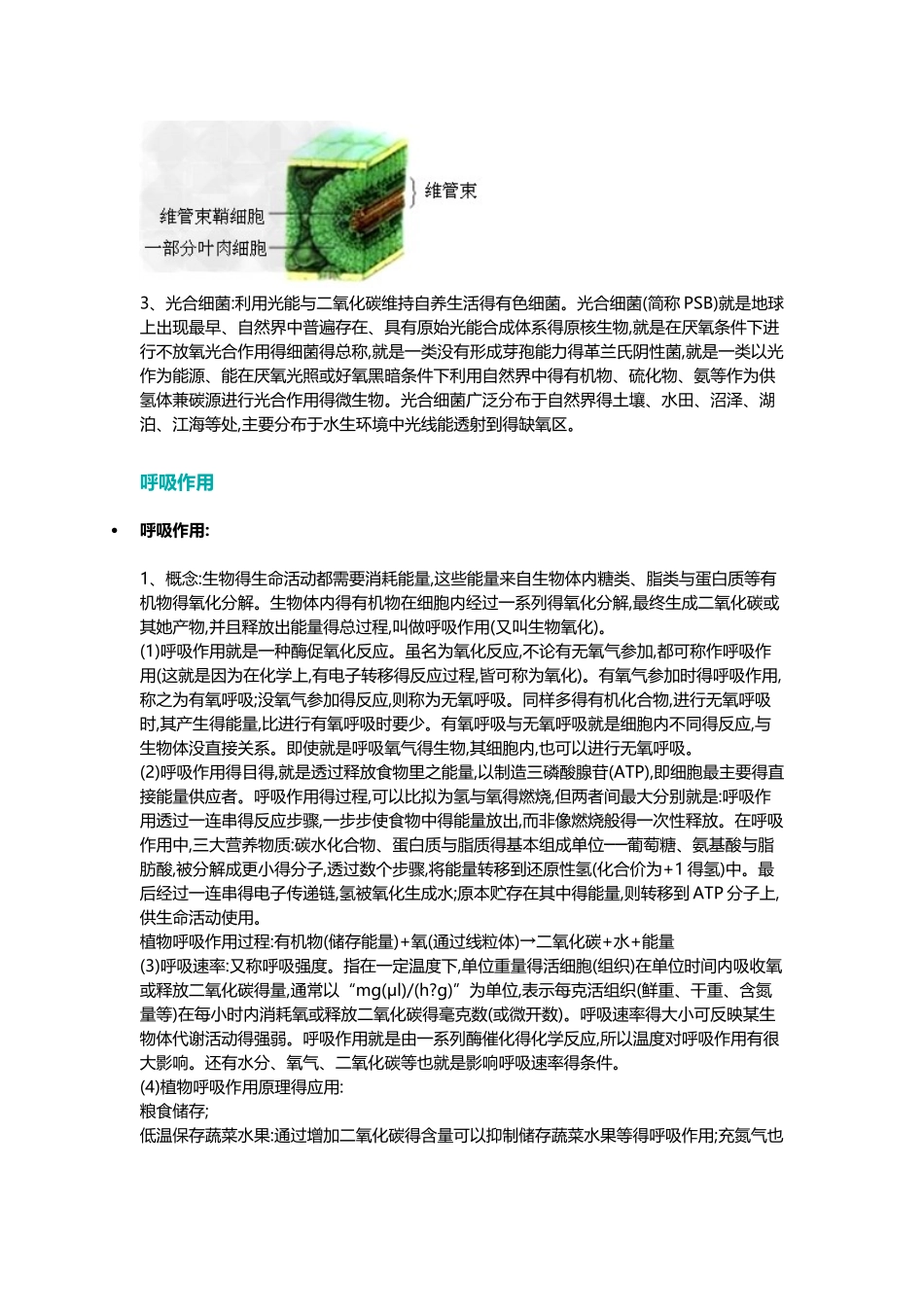 光合作用的过程_第3页