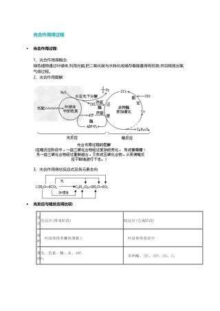 光合作用的过程