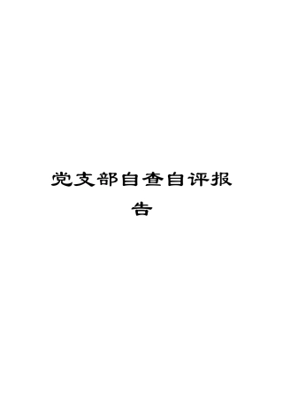 党支部自查自评报告
