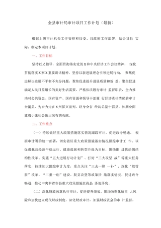 全县审计局审计项目工作计划