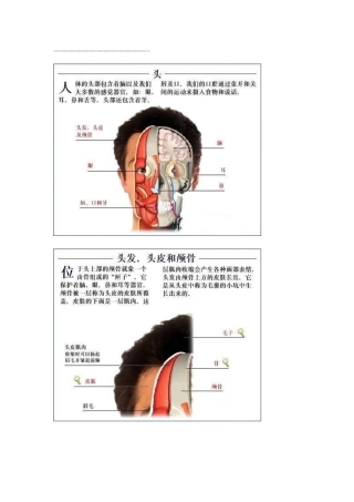 全套人体解剖图