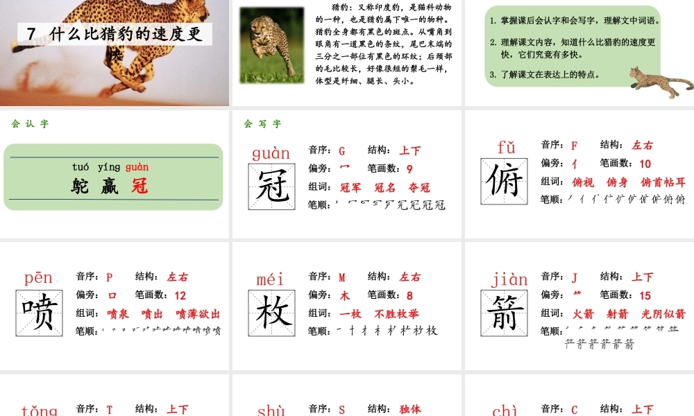   人教统编24版小学语文五年级上册第二单元7.什么比猎豹的速度更快课件