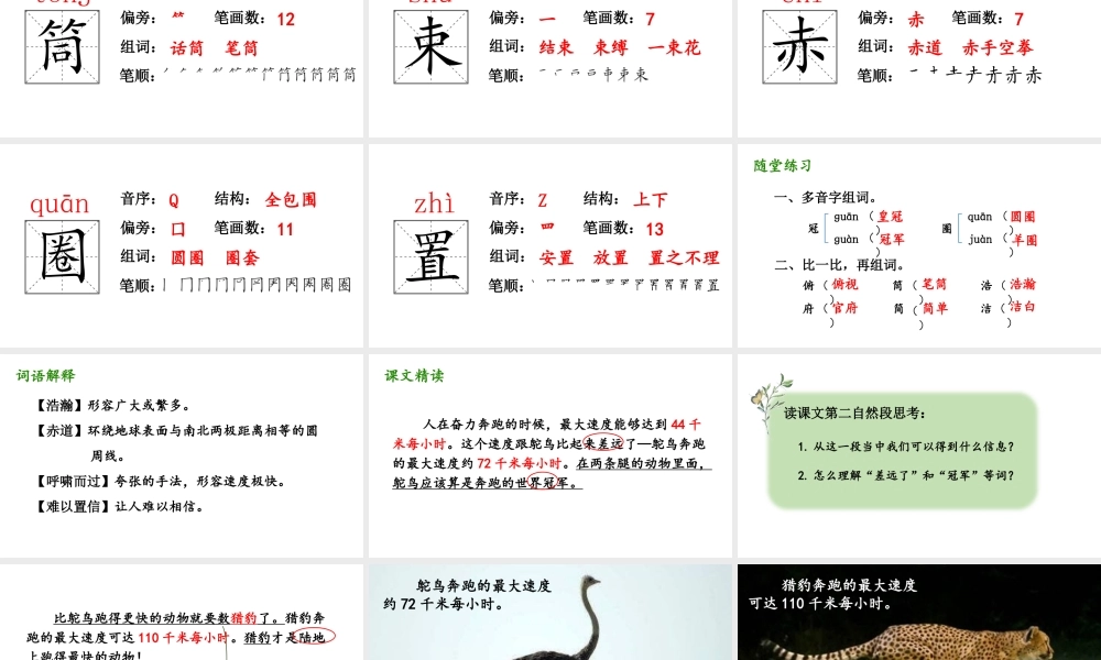   人教统编24版小学语文五年级上册第二单元7.什么比猎豹的速度更快课件