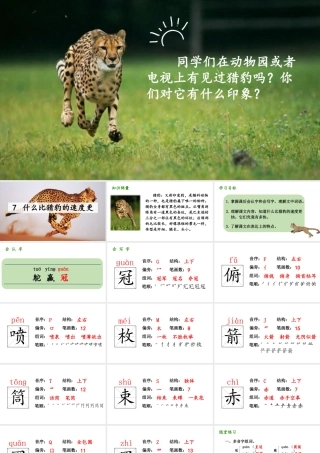   人教统编24版小学语文五年级上册第二单元7.什么比猎豹的速度更快课件