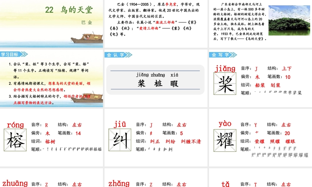 人教统编24版小学语文五年级上册第七单元22.鸟的天堂课件