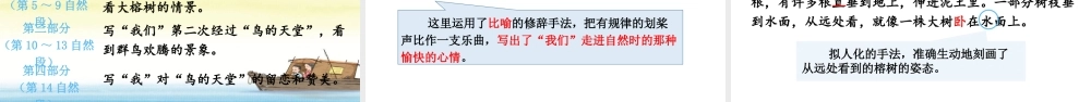 人教统编24版小学语文五年级上册第七单元22.鸟的天堂课件