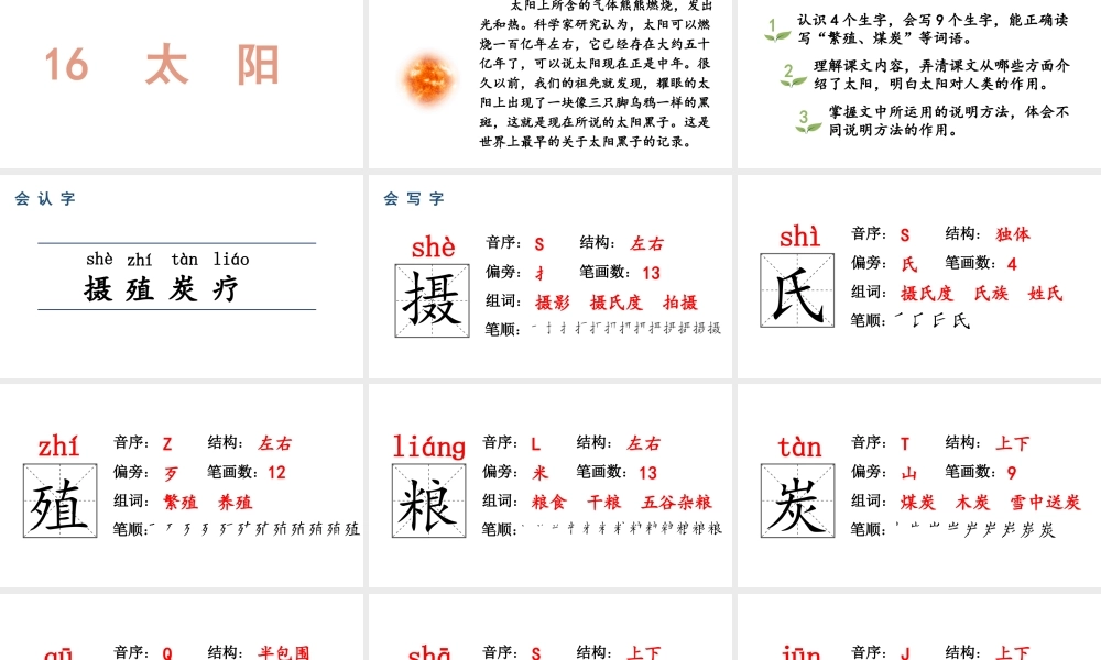 人教统编24版小学语文五年级上册第五单元16.太阳课件