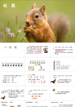 人教统编24版小学语文五年级上册第五单元17.松鼠课件