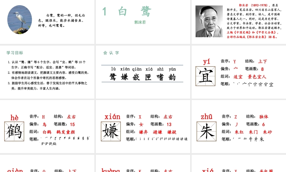 人教统编24版小学语文五年级上册第一单元1.白鹭课件