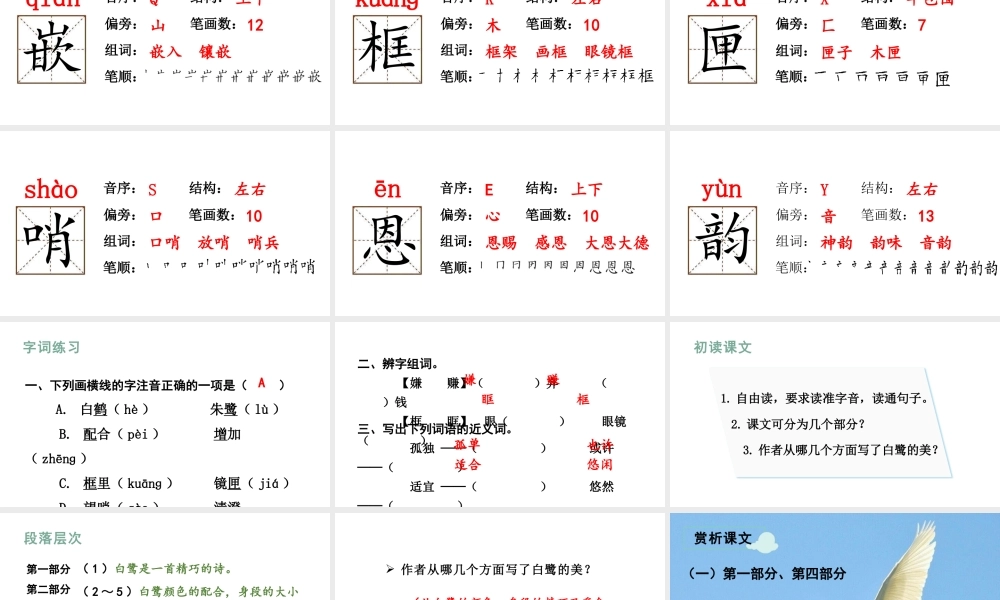 人教统编24版小学语文五年级上册第一单元1.白鹭课件