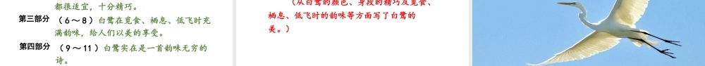 人教统编24版小学语文五年级上册第一单元1.白鹭课件