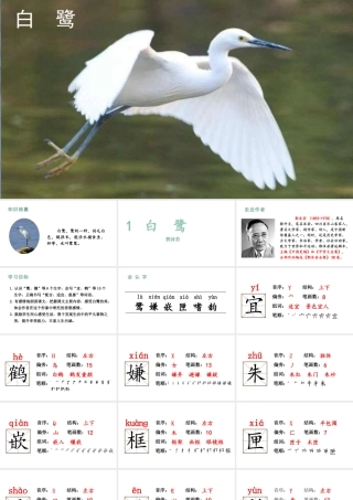 人教统编24版小学语文五年级上册第一单元1.白鹭课件