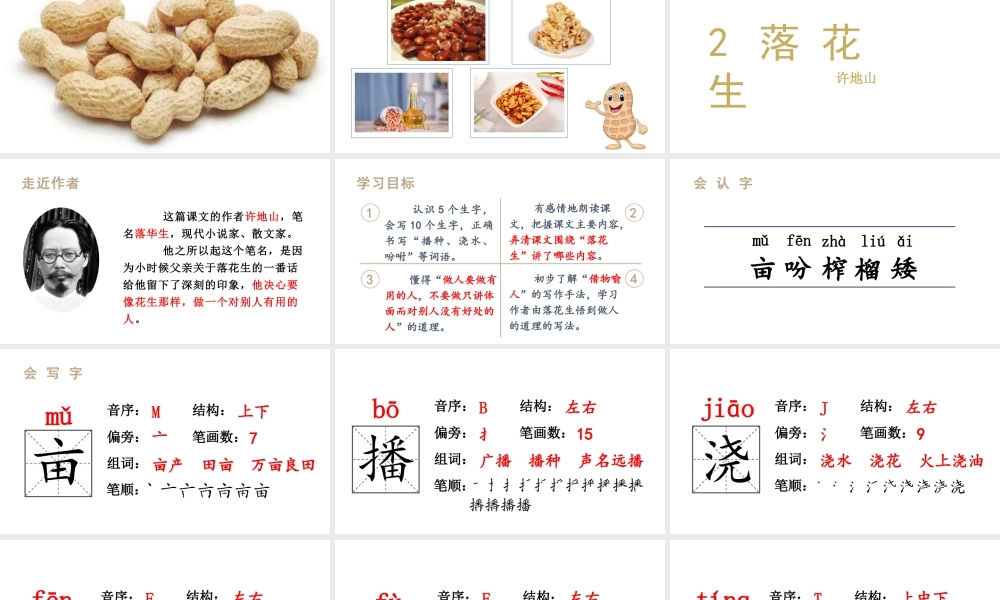 人教统编24版小学语文五年级上册第一单元2.落花生课件