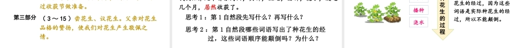 人教统编24版小学语文五年级上册第一单元2.落花生课件