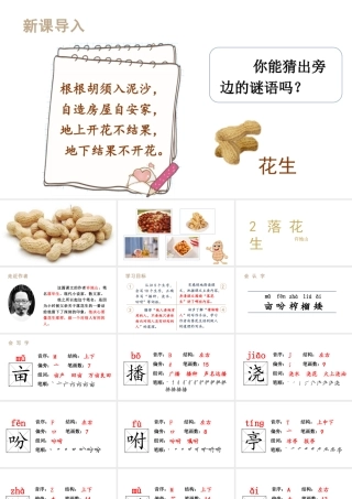 人教统编24版小学语文五年级上册第一单元2.落花生课件