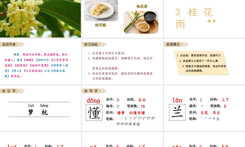 人教统编24版小学语文五年级上册第一单元3.桂花雨课件