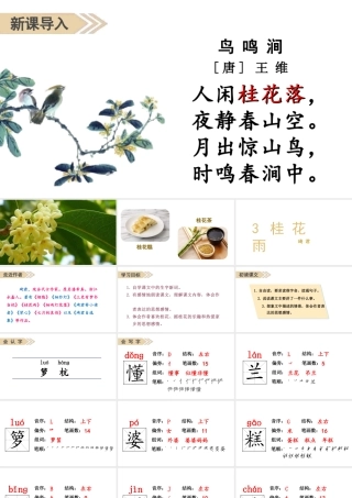 人教统编24版小学语文五年级上册第一单元3.桂花雨课件