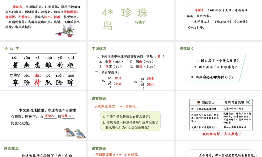 人教统编24版小学语文五年级上册第一单元4.珍珠鸟课件