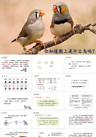 人教统编24版小学语文五年级上册第一单元4.珍珠鸟课件