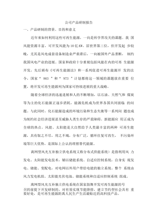 公司产品研制报告