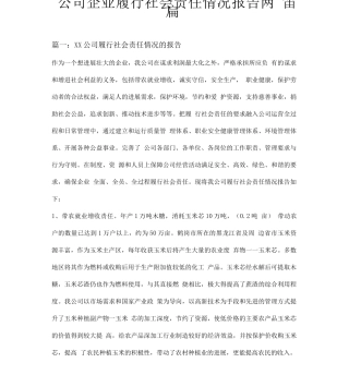 公司企业履行社会责任情况报告两篇