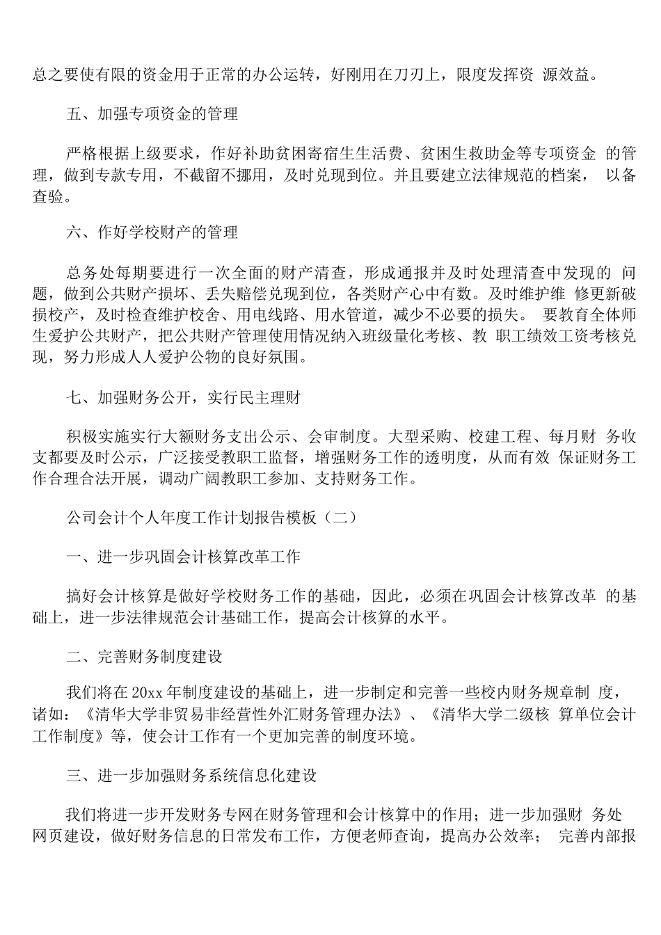 公司会计个人年度工作计划报告模板_第2页