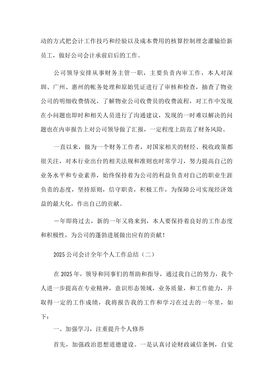 公司会计全年个人工作总结-范文_第2页