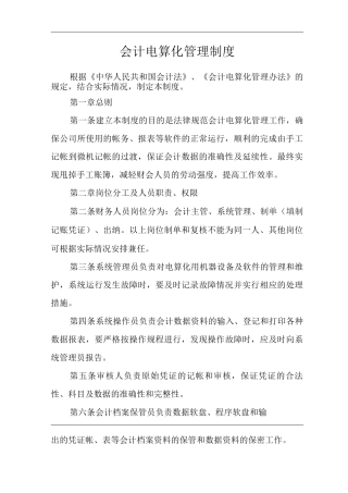 公司会计电算化管理制度
