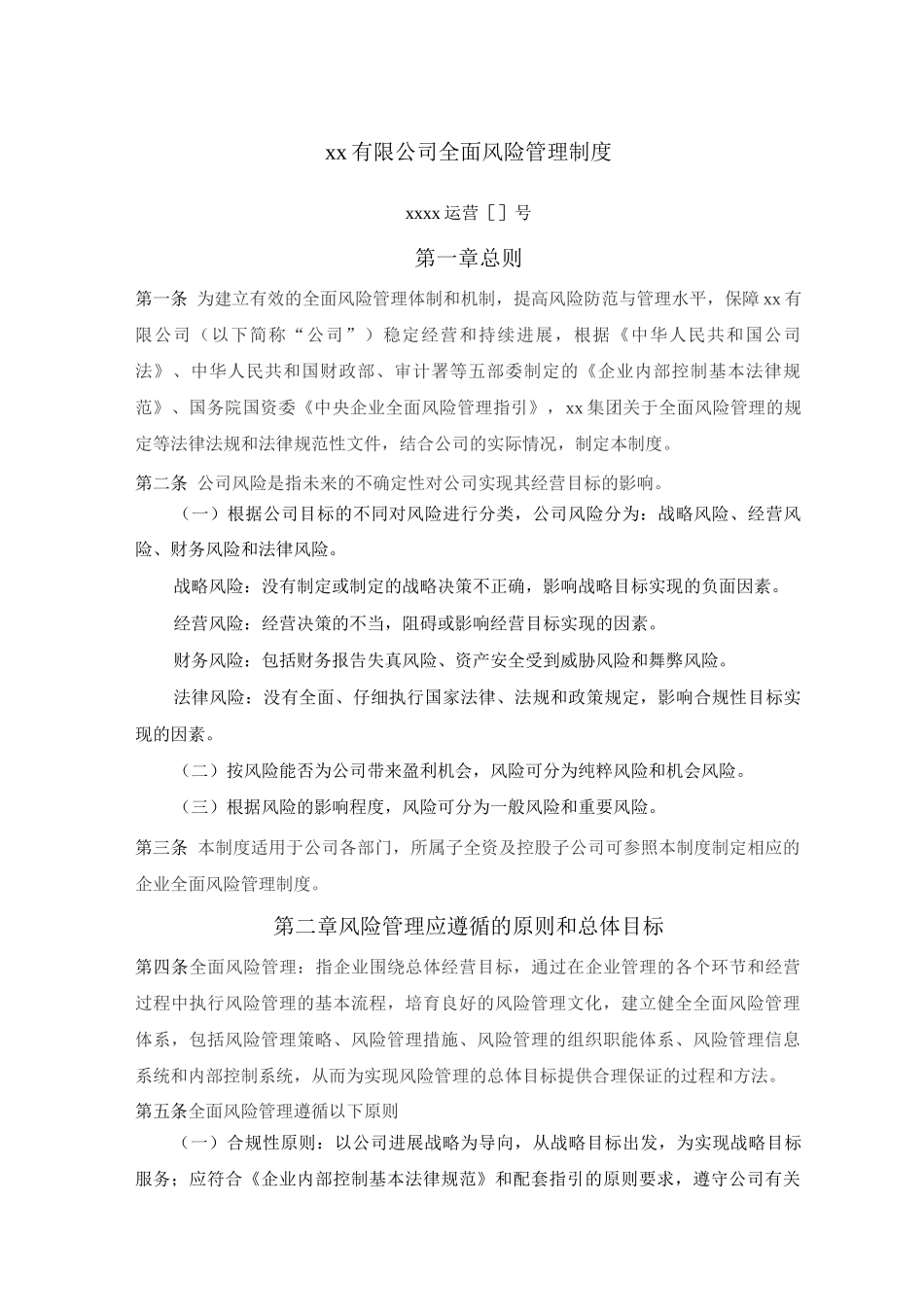 公司全面风险管理制度_第1页