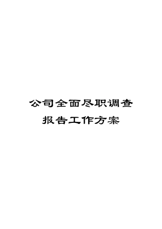 公司全面尽职调查报告工作方案