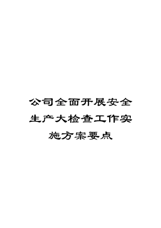 公司全面开展安全生产大检查工作实施方案要点