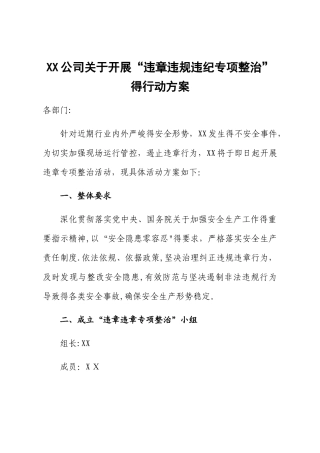 公司关于开展“违章违规违纪专项整治”的行动方案
