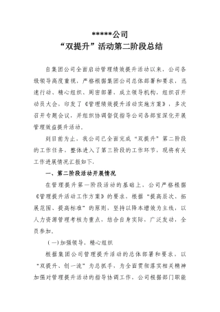公司双提升第二阶段总结