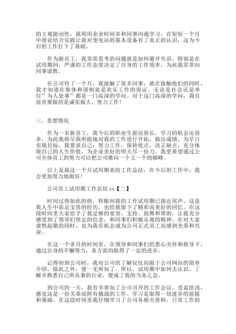 公司员工试用期工作总结_第2页