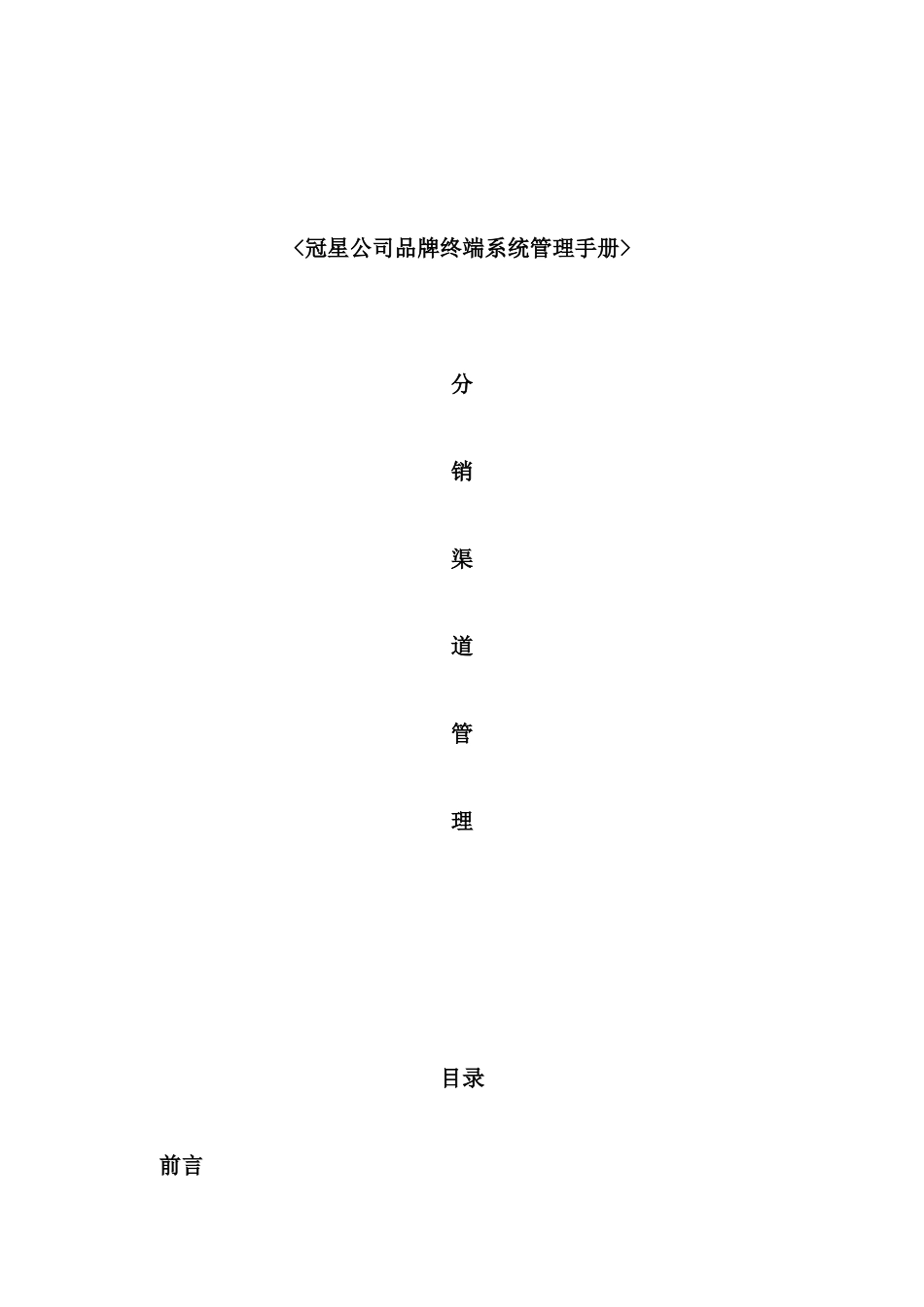 公司品牌终端系统管理手册_第2页