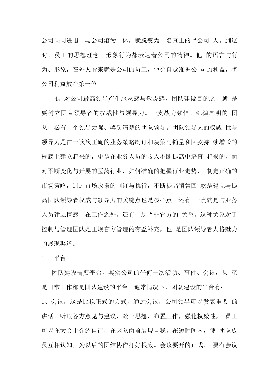 公司团队建议方案_第3页