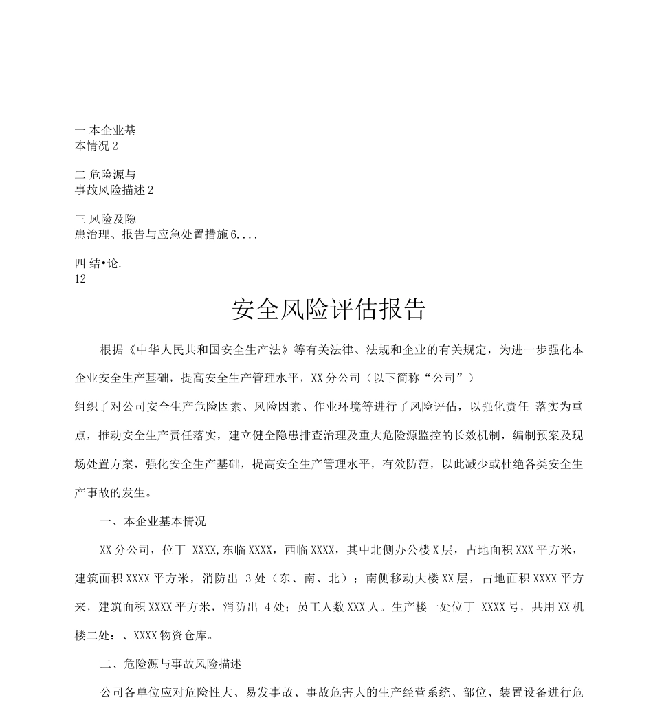 公司安全风险评估报告_第1页