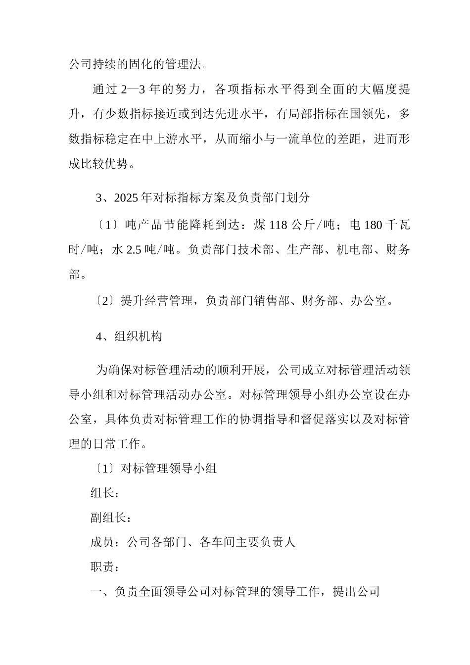 公司对标实施计划方案_第2页