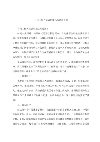 公司工作人员试用期总结通用5例