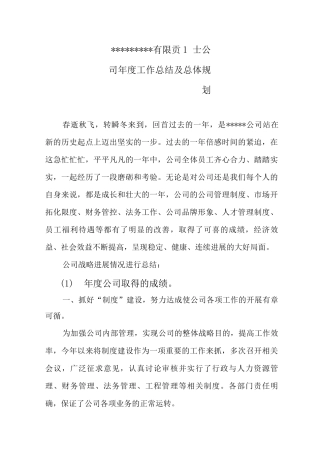 公司年度工作总结及战略规划