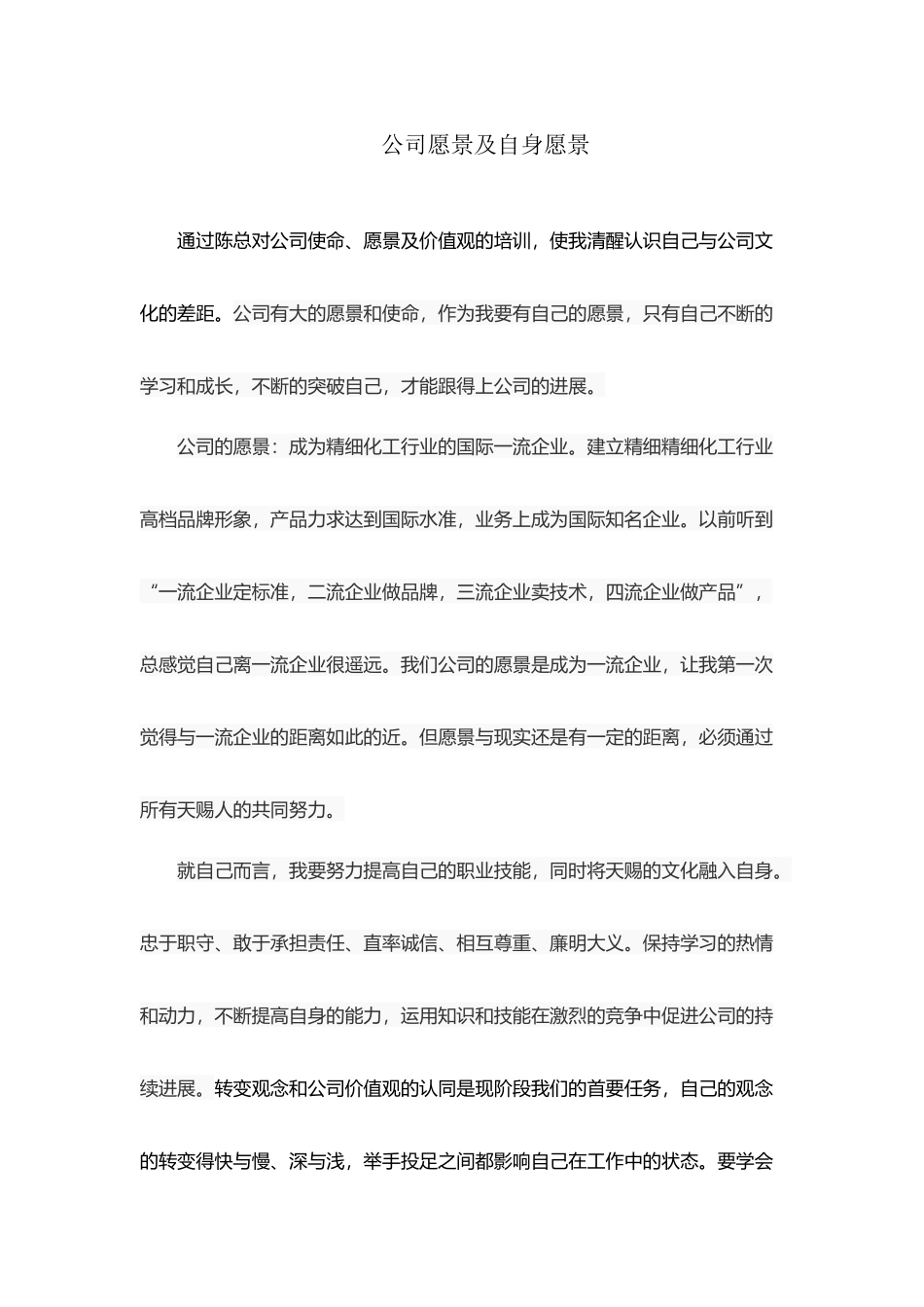 公司愿景学习体会_第2页